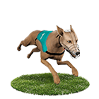 泊樂娛樂城娛樂城白金賽狗